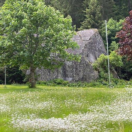 Haus Am Rain Bed and Breakfast Partenen Eksteriør billede