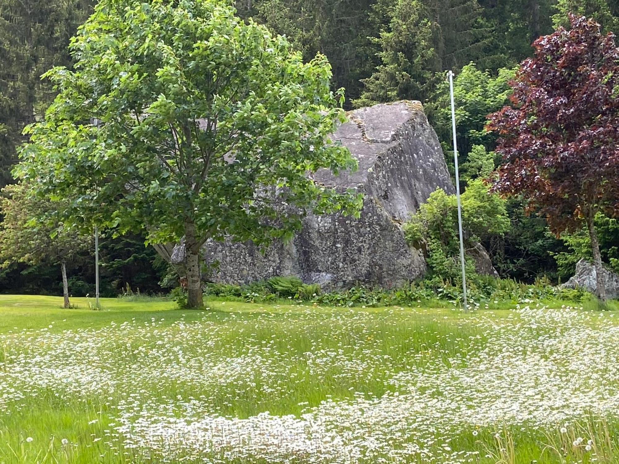 Haus Am Rain Bed and Breakfast Partenen Eksteriør billede